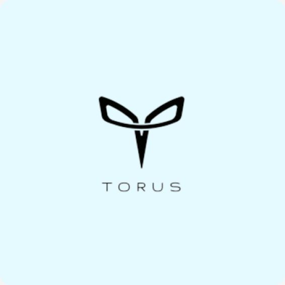 Torus Robotics